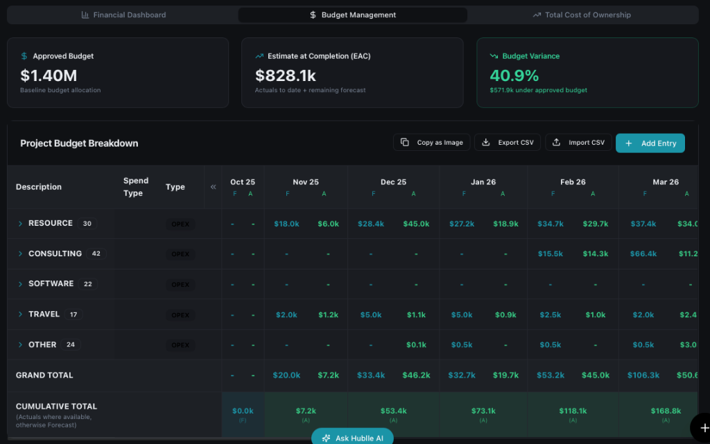 Budget management — project budget breakdown with monthly forecast vs actuals