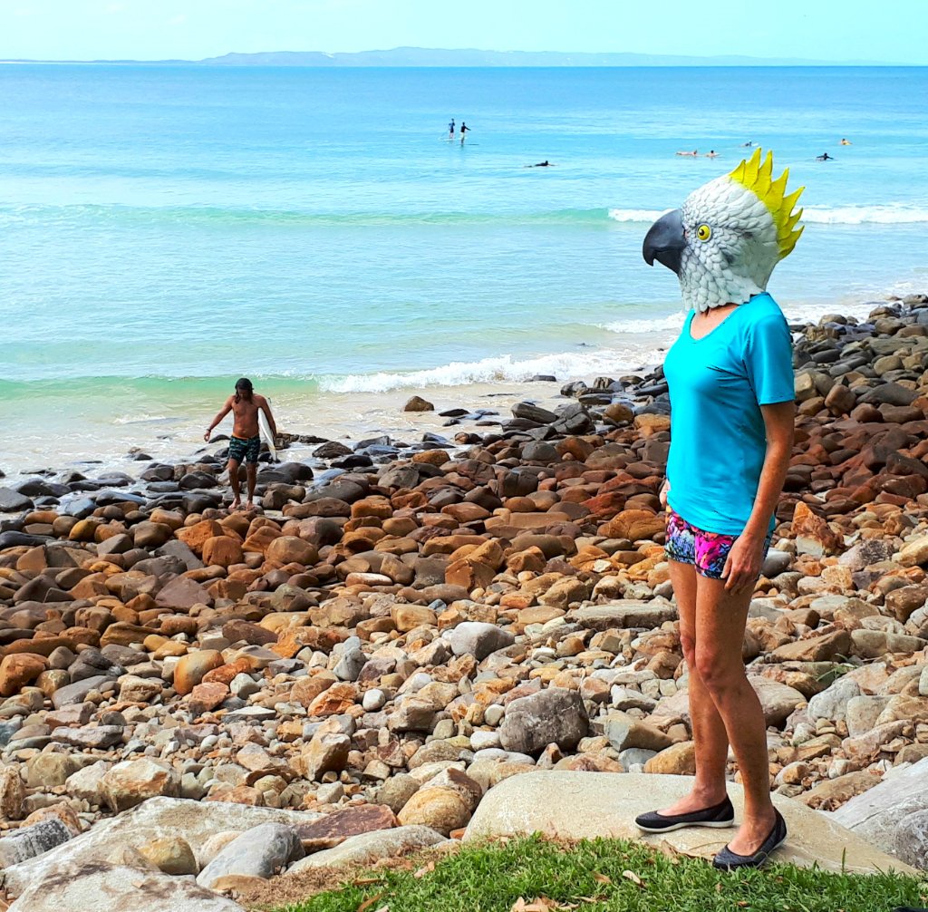 Artbird at Noosa National Park