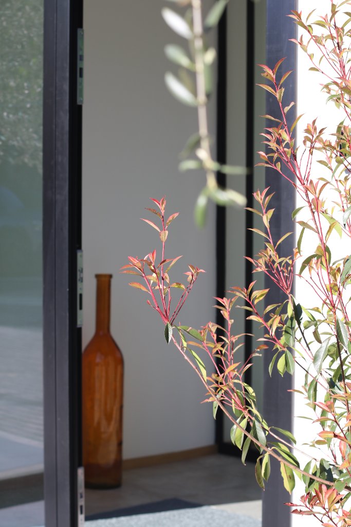 Jardín · Clínica Velázquez & Eguren Dermatología Majadahonda