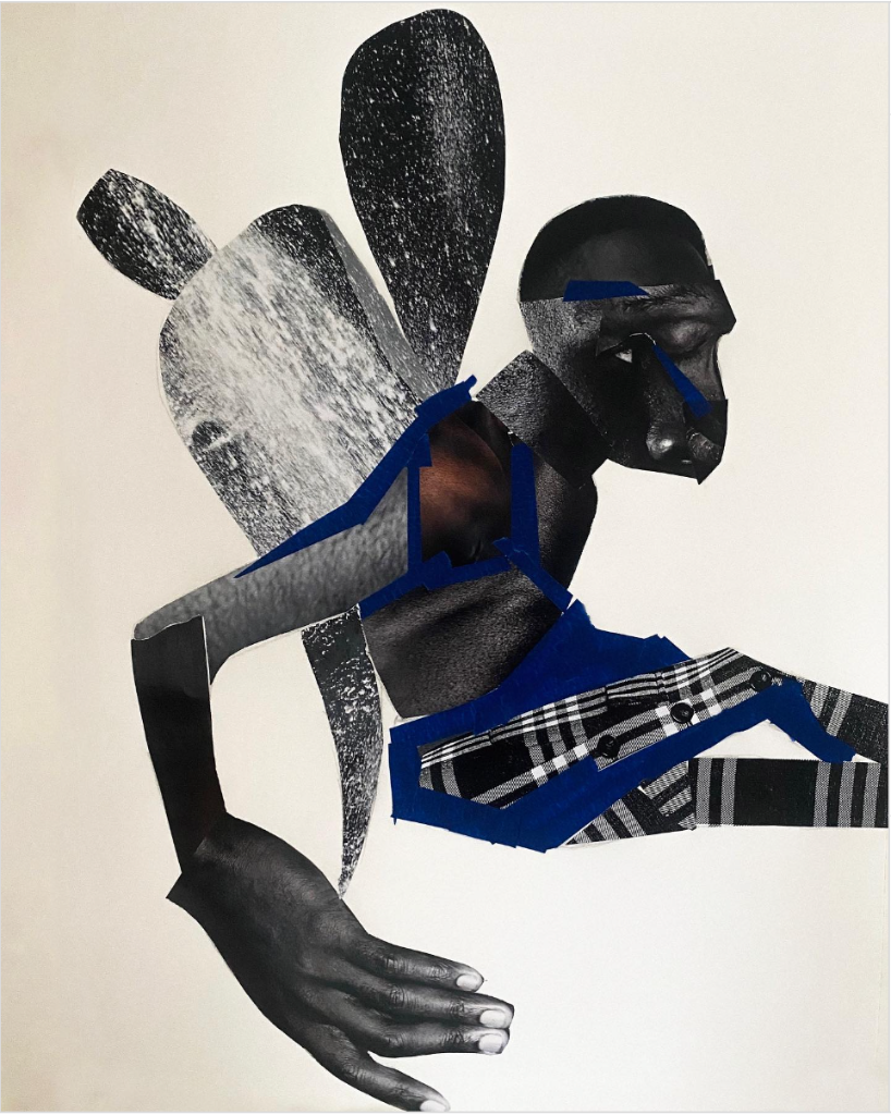 Lakin Ogunbanwo collage