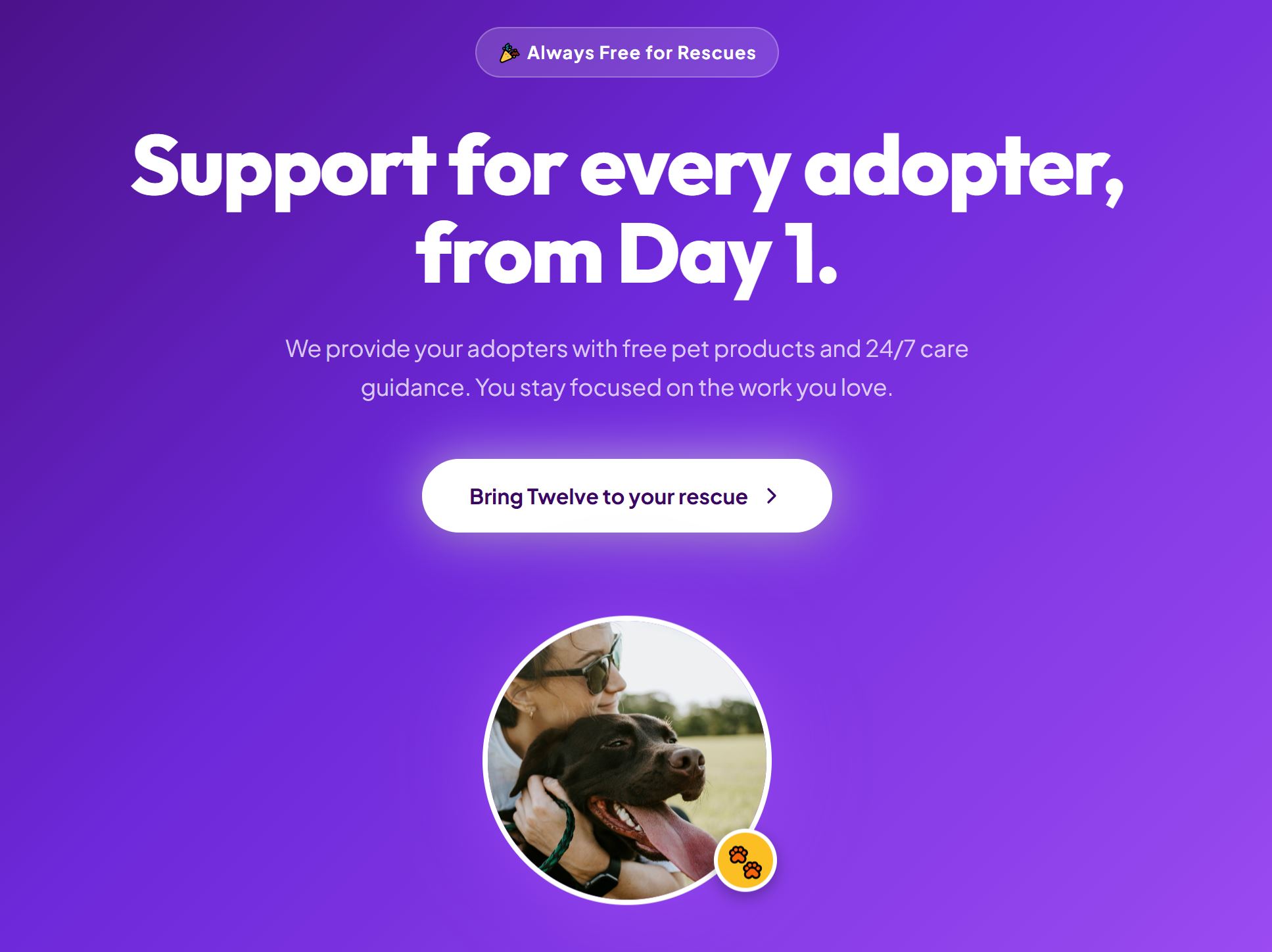 Pets Site template preview