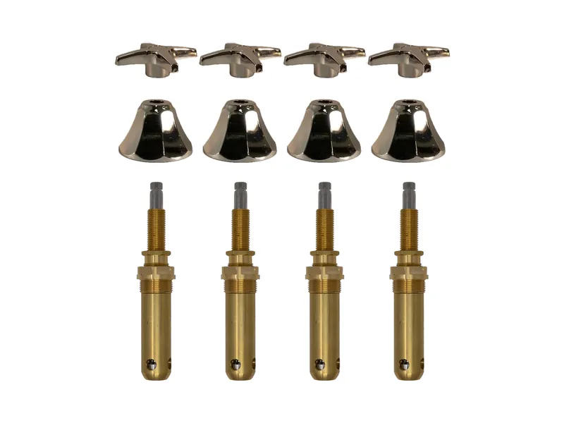 4-Valve Rebuild Kit for Kohler
