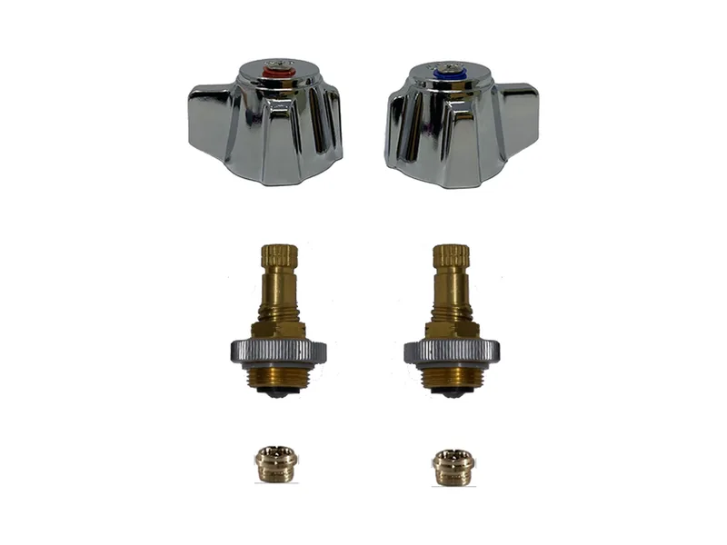 2-Valve Rebuild Kit for Encore