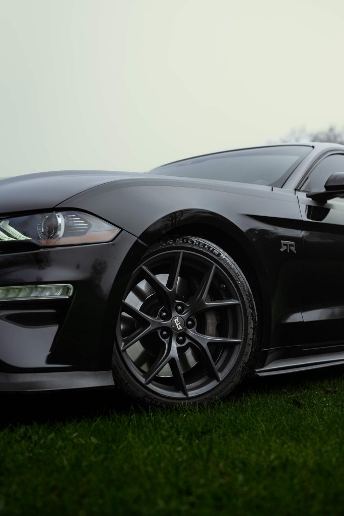 Bernadette's RTR Mustang 2