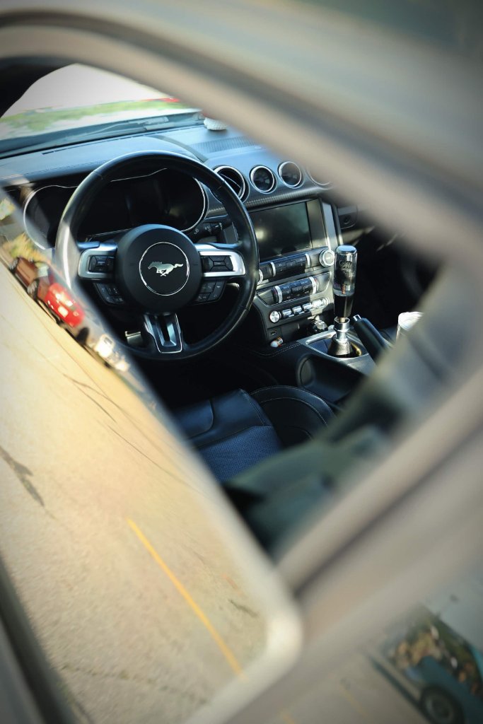 Bernadette's RTR Mustang 3