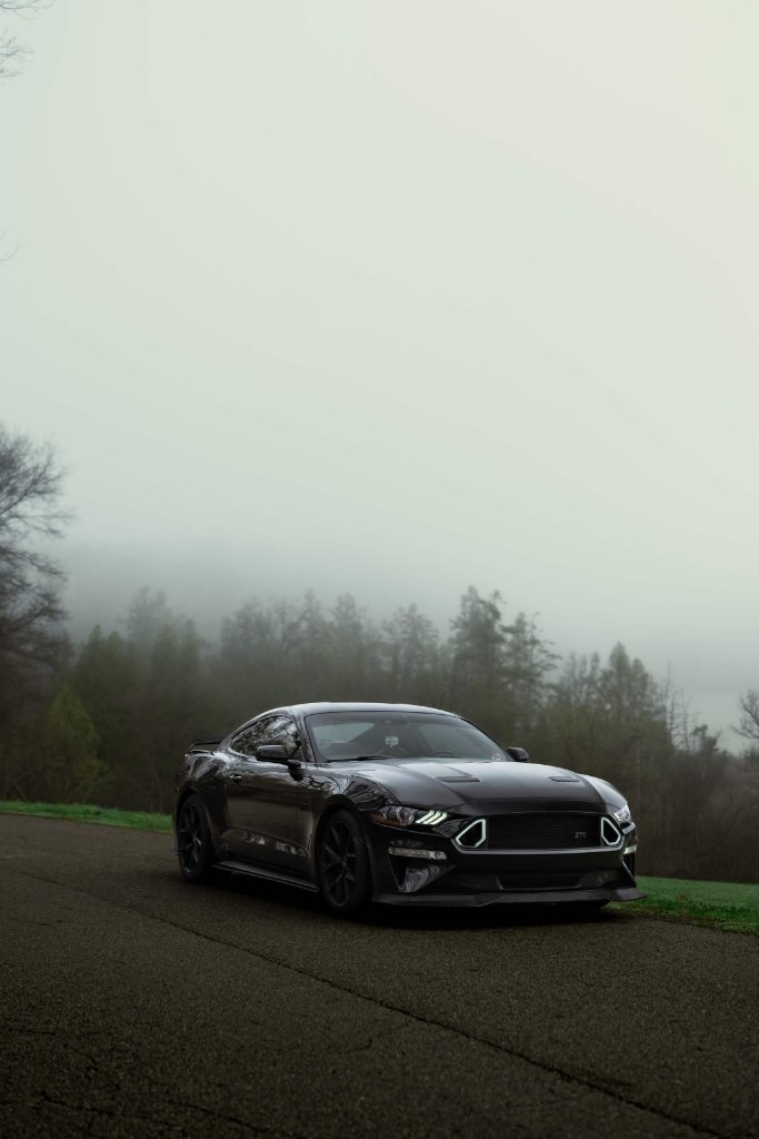 Bernadette's RTR Mustang 4