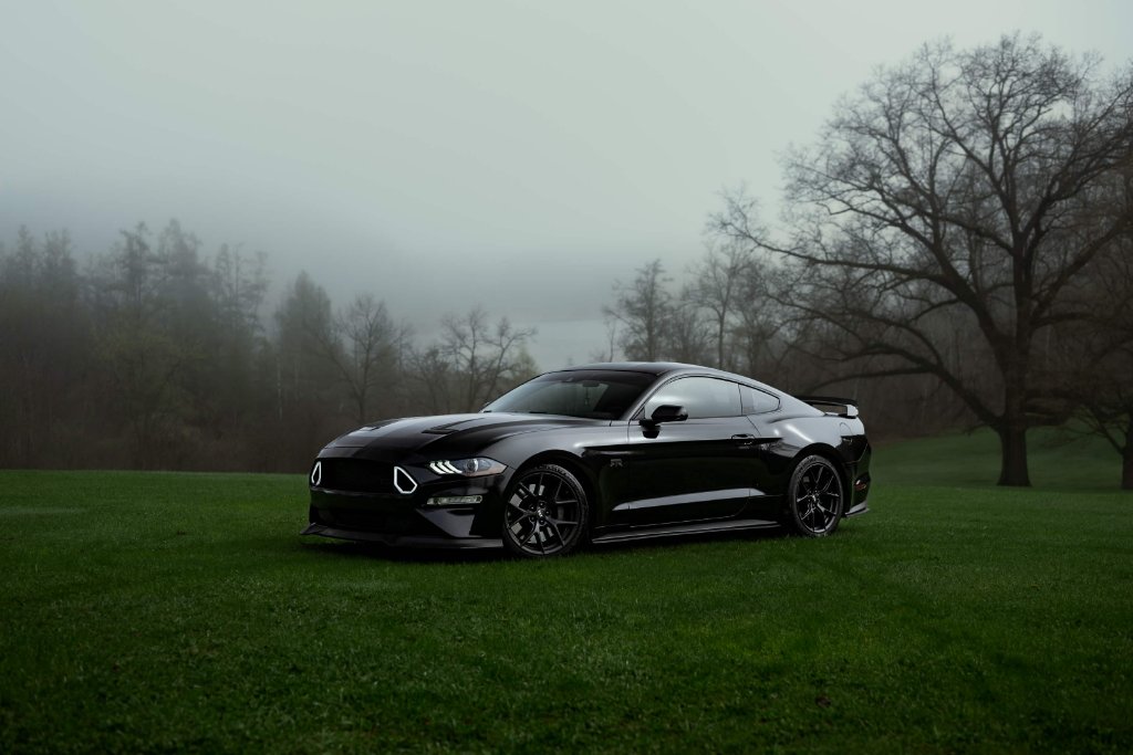 Bernadette's RTR Mustang