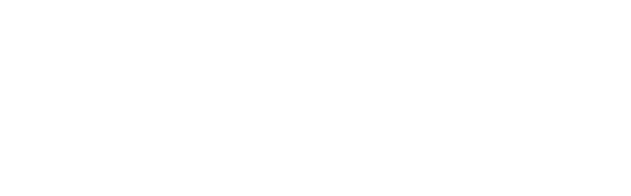 FiTiN Logo