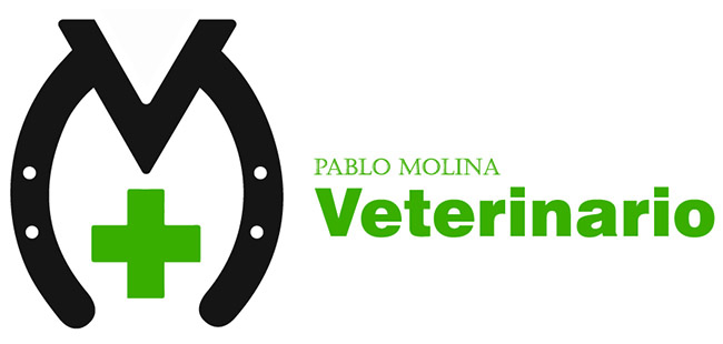 cliente koolvet