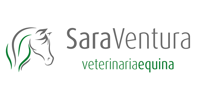 cliente koolvet