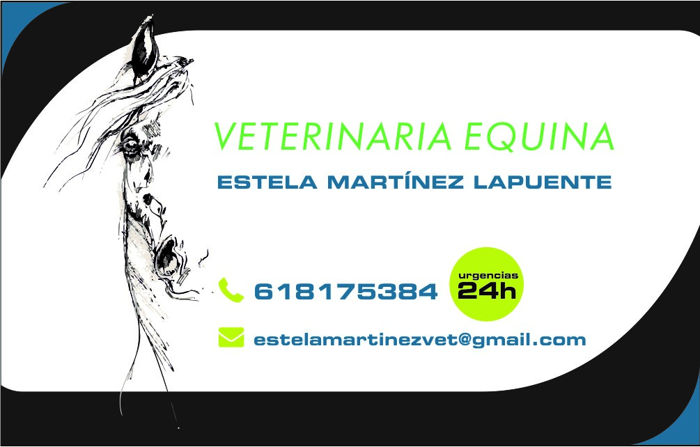 cliente koolvet