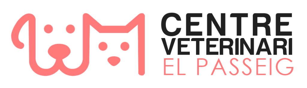 cliente koolvet