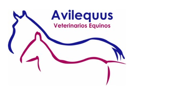 cliente koolvet