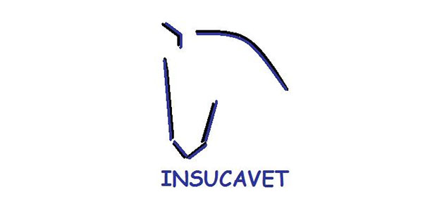 cliente koolvet