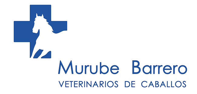 cliente koolvet