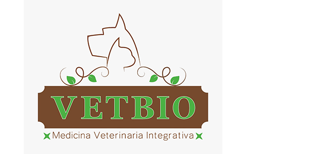 cliente koolvet