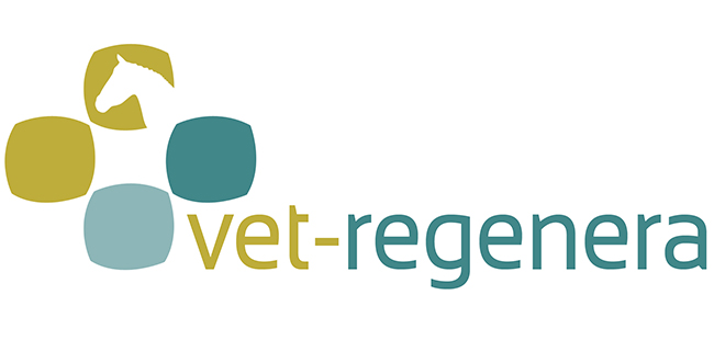 cliente koolvet