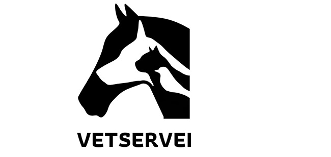 cliente koolvet