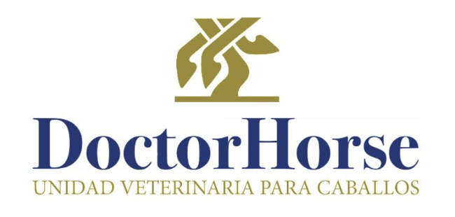 cliente koolvet