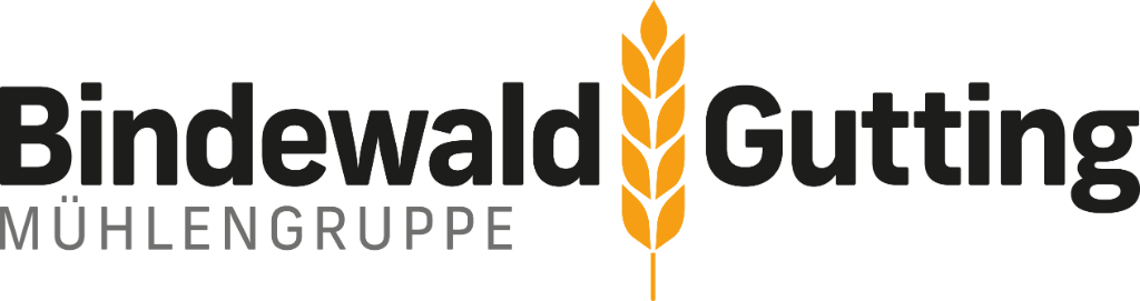premium logo