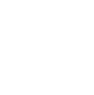 CEO, Pyramid