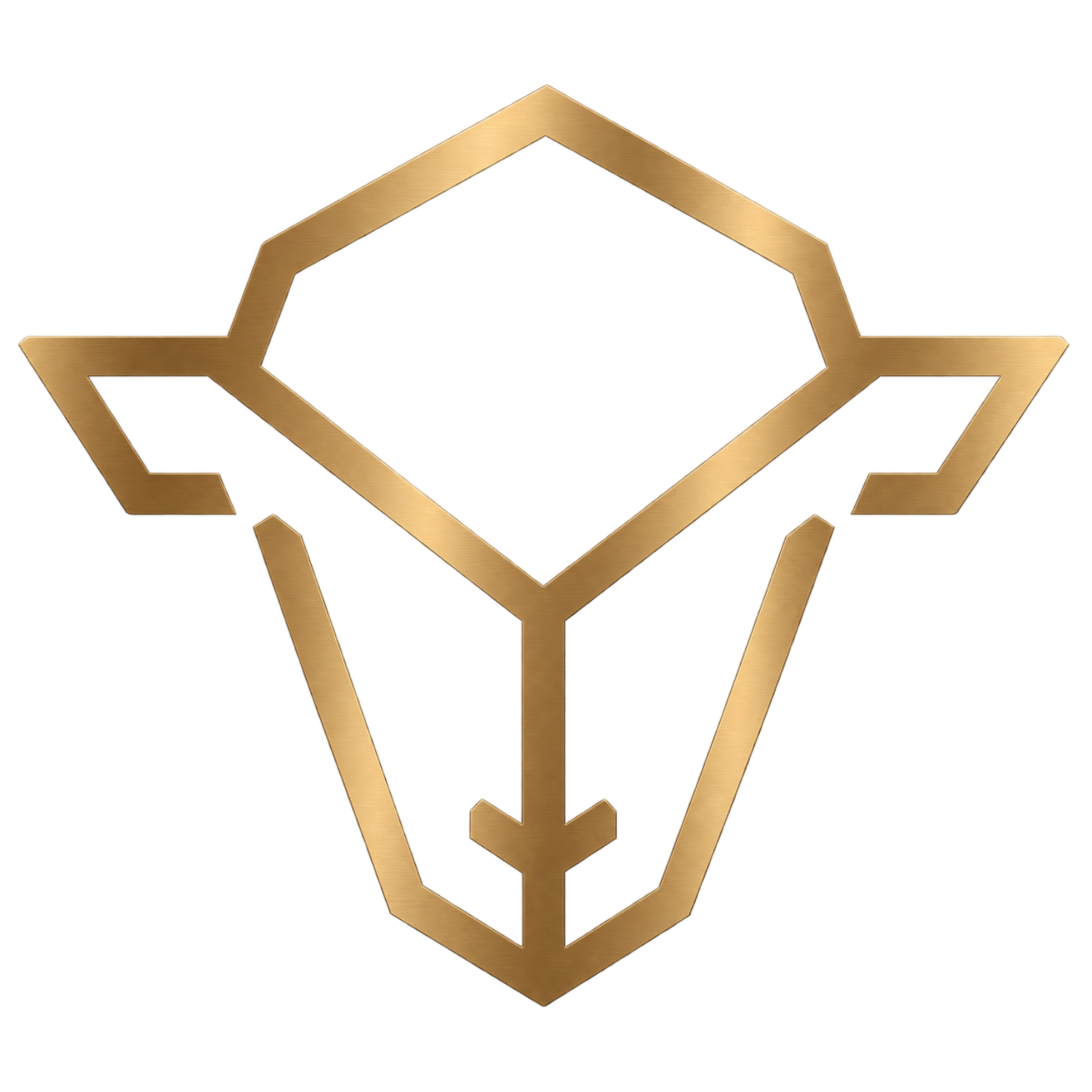 BM logo