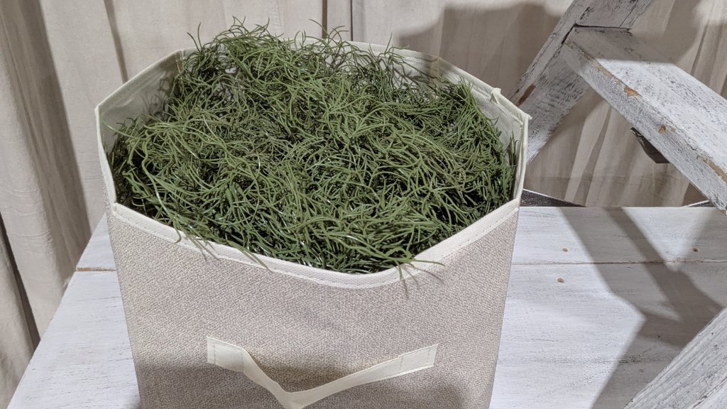 Spanish Moss / Filler Greenery