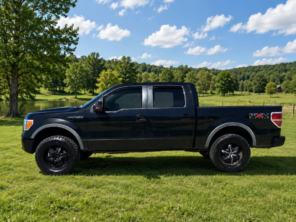 2010 Ford F-150 SuperCrew 4x4 in Tuxedo Black Metallic