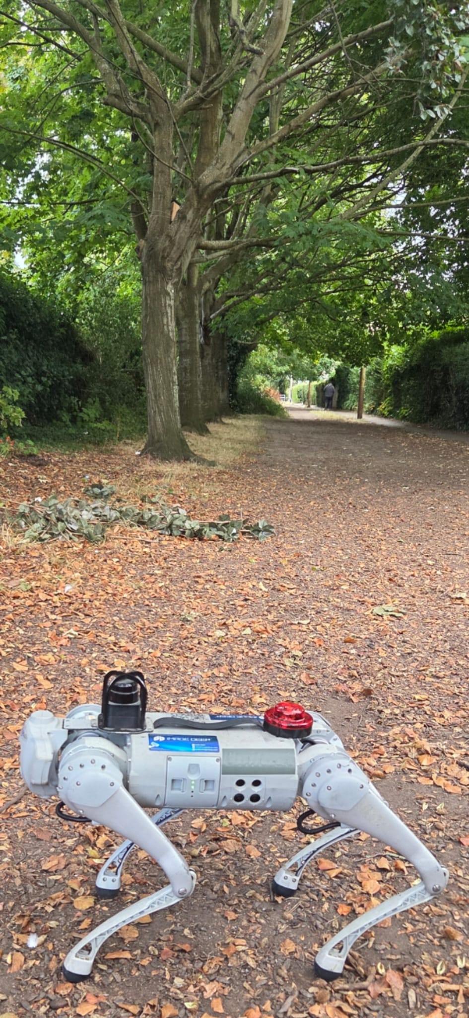 SHELi autonomous patrol robot walking a remote country lane covered in autumn leaves