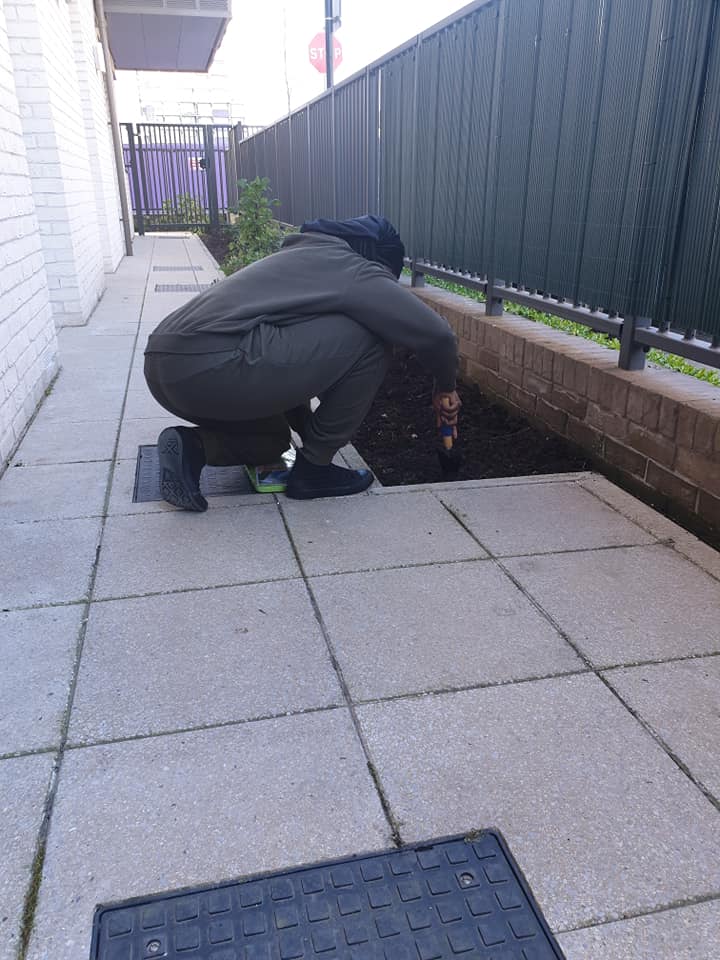 Gardening on the estate
