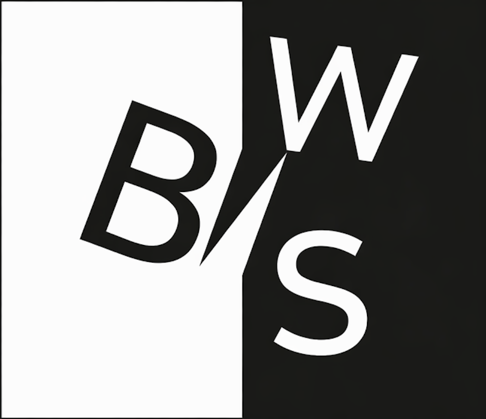 B&W INFRA Services