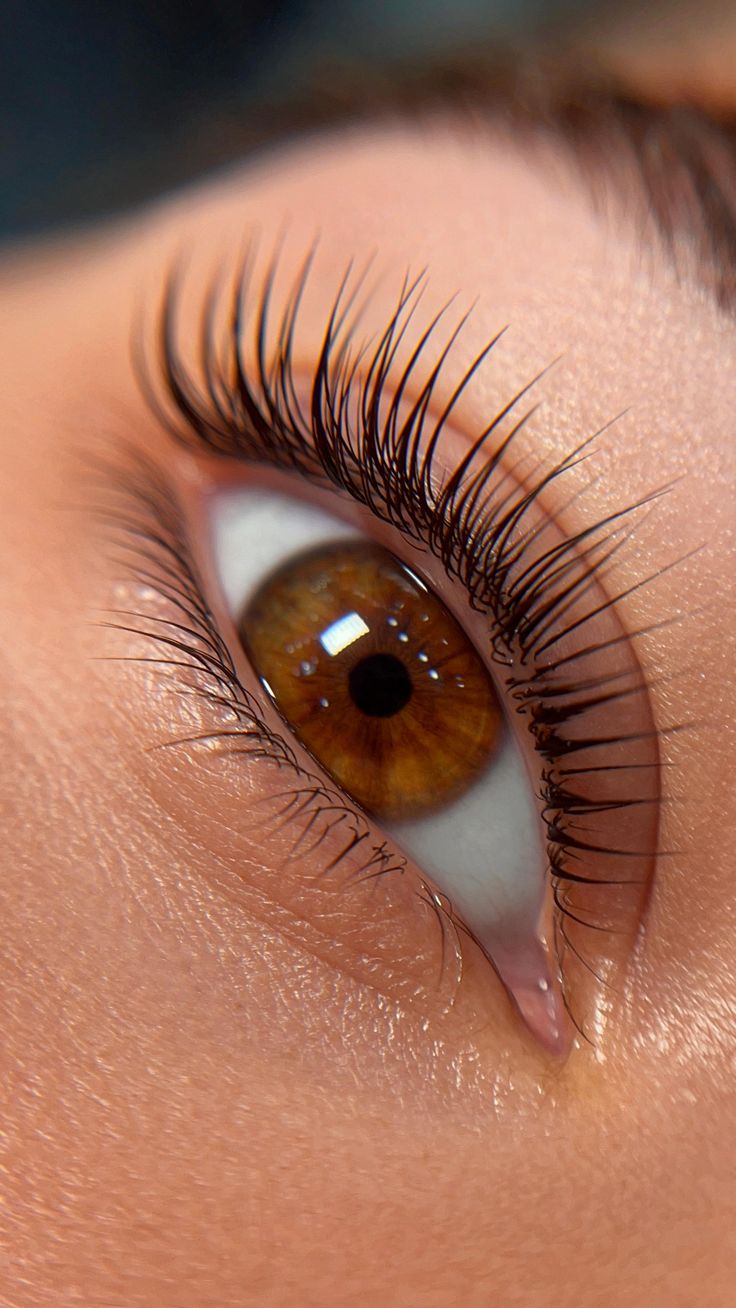 Classic Lashes