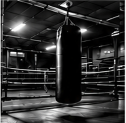 bokszak gym
