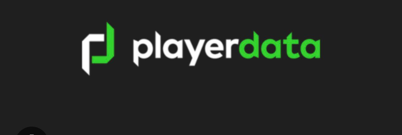 PlayerData
