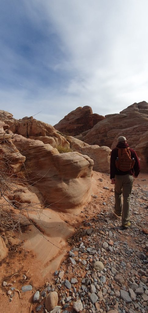 Desert trail