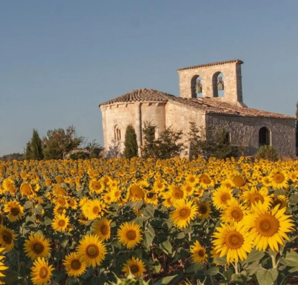 Vista de Caleruega