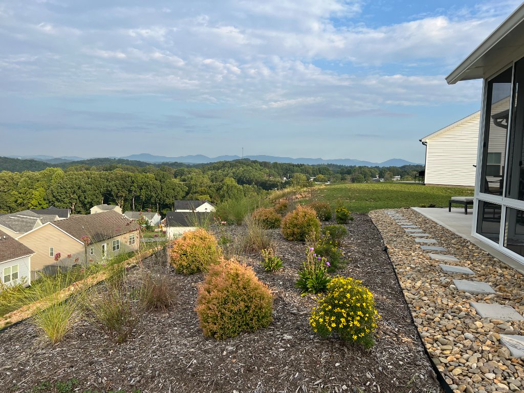 Hillside Landscape Renovation