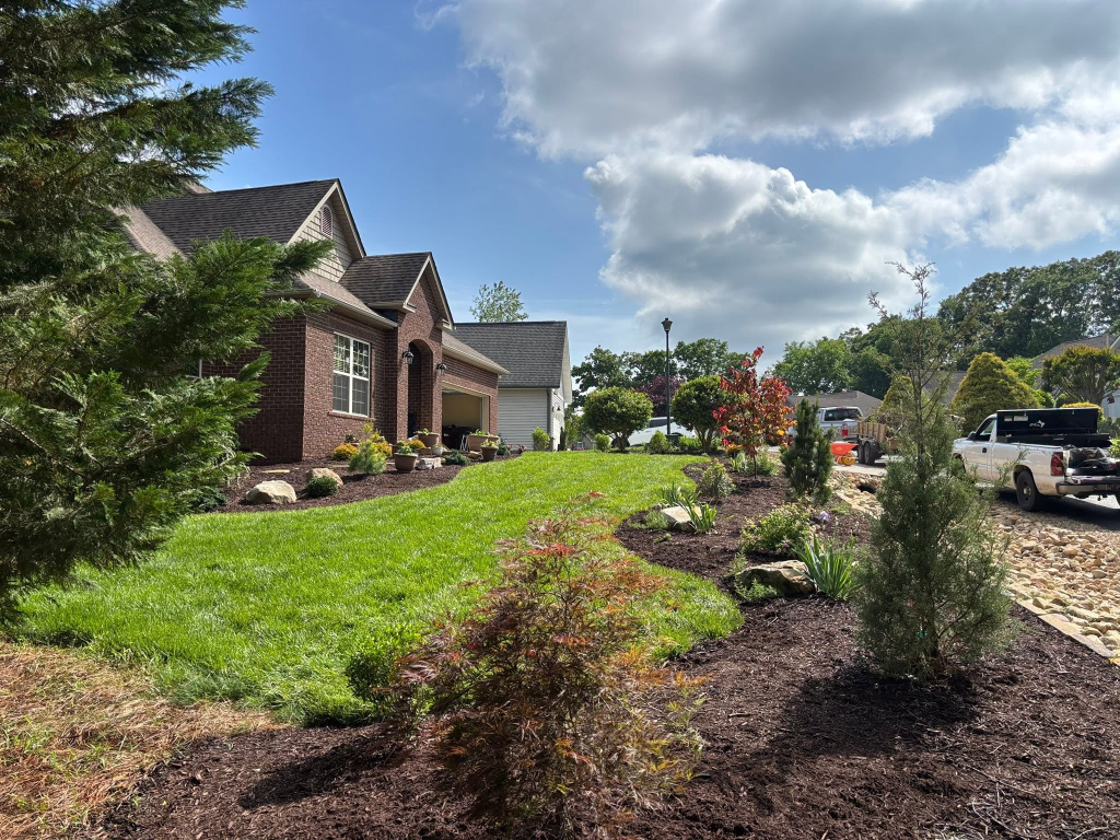 Yard Renovations