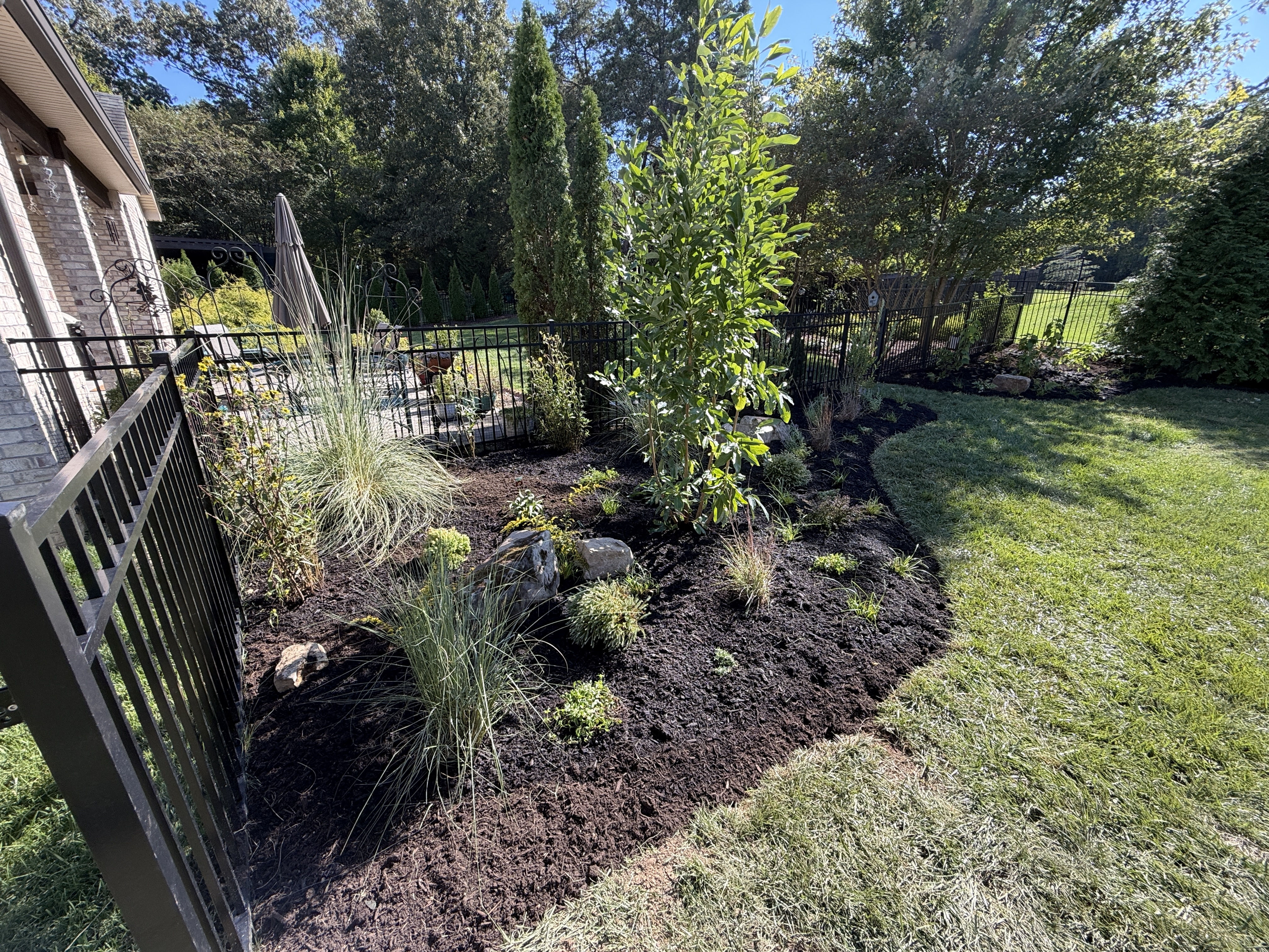 Backyard planting bed with ornamental grasses, shrubs and boulders along a metal fence in Knoxville TN by Grateful Grounds