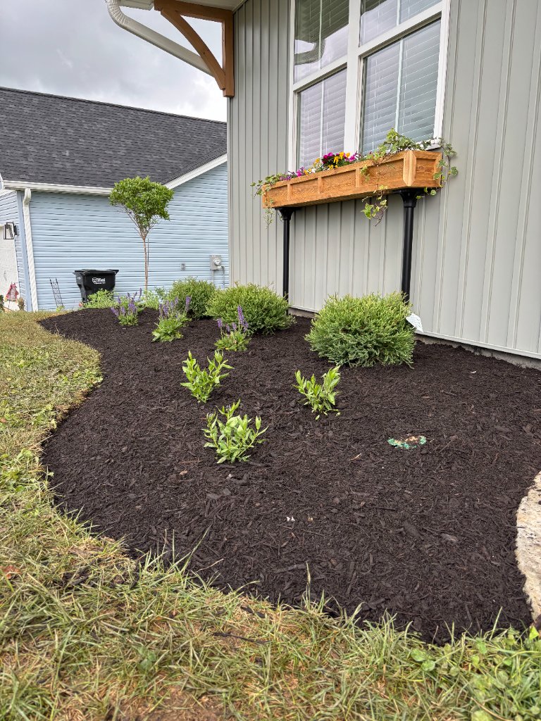 Garden bed refresh and outdoor lighting Knoxville TN by Grateful Grounds
