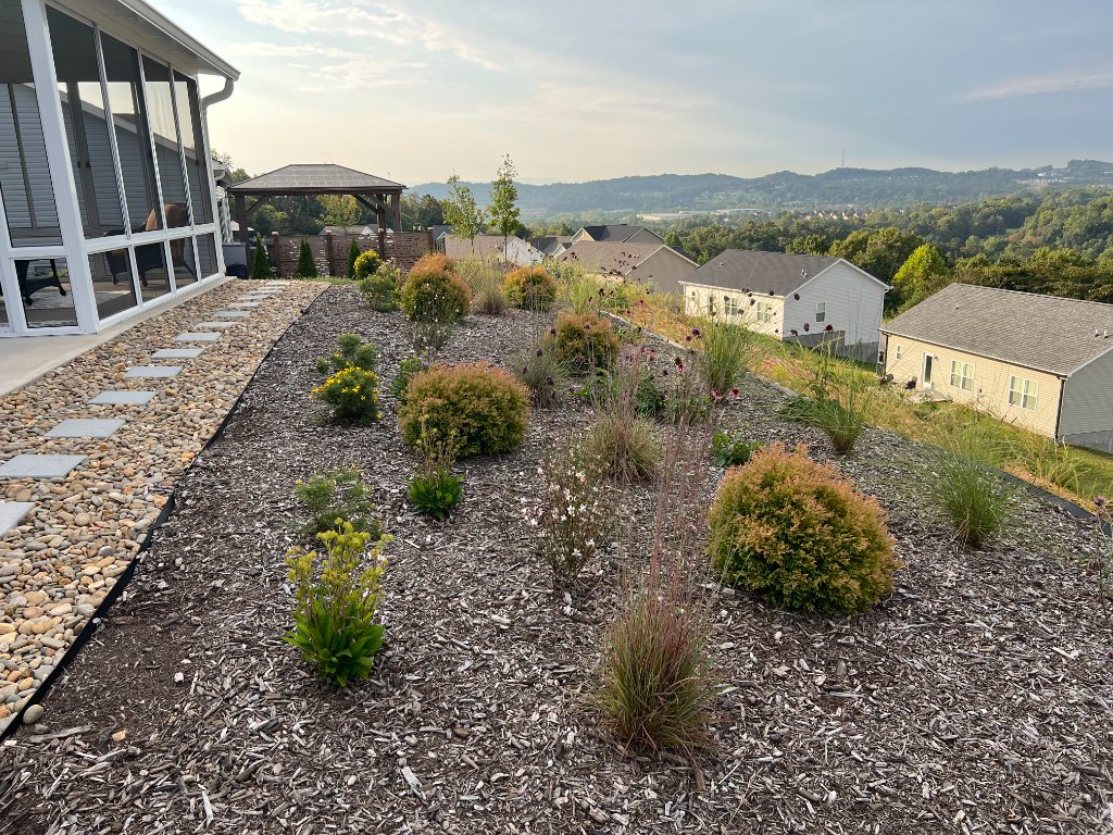 Native plant landscape design installation Knoxville TN by Grateful Grounds