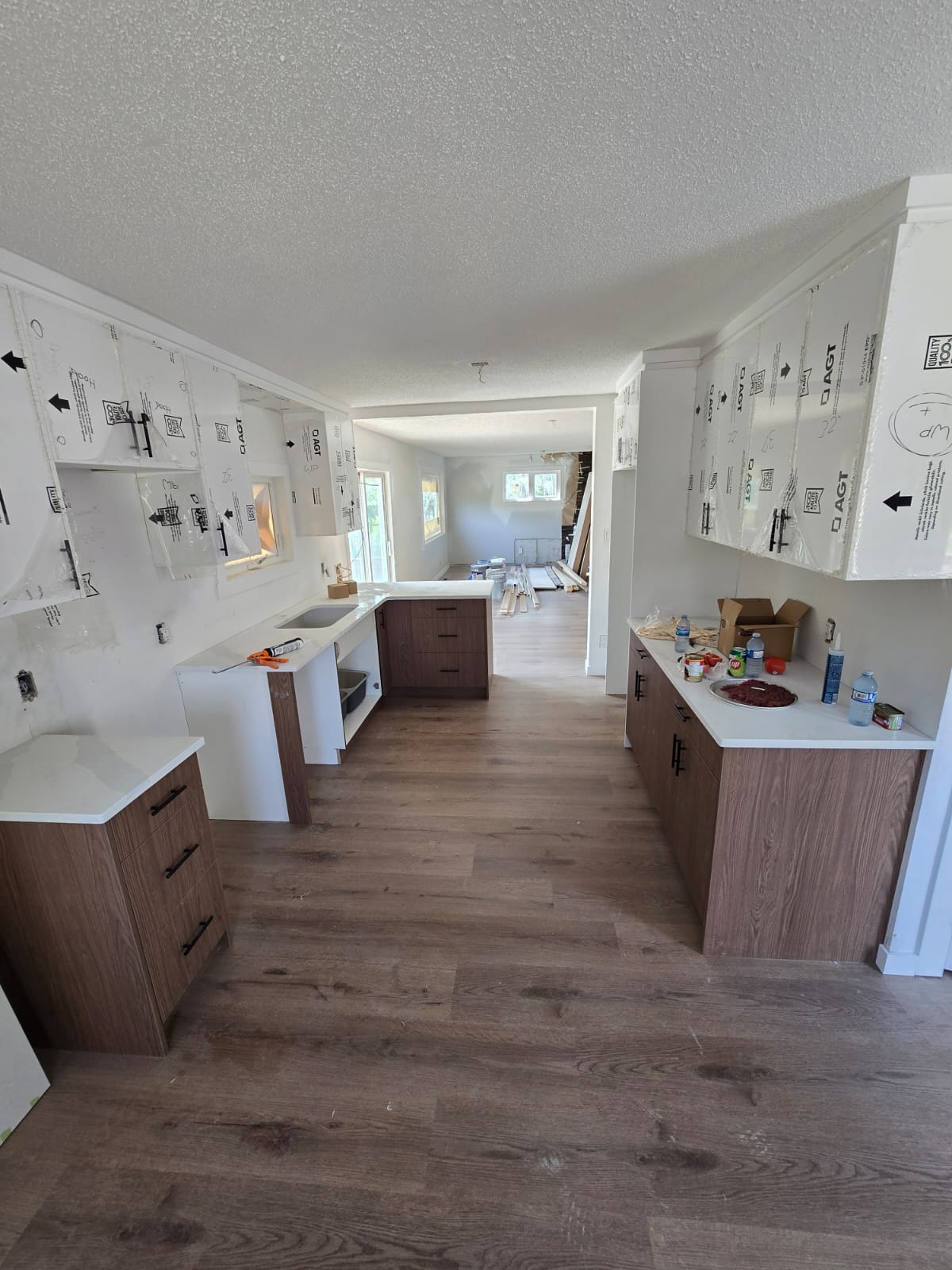 Kitchen Reno