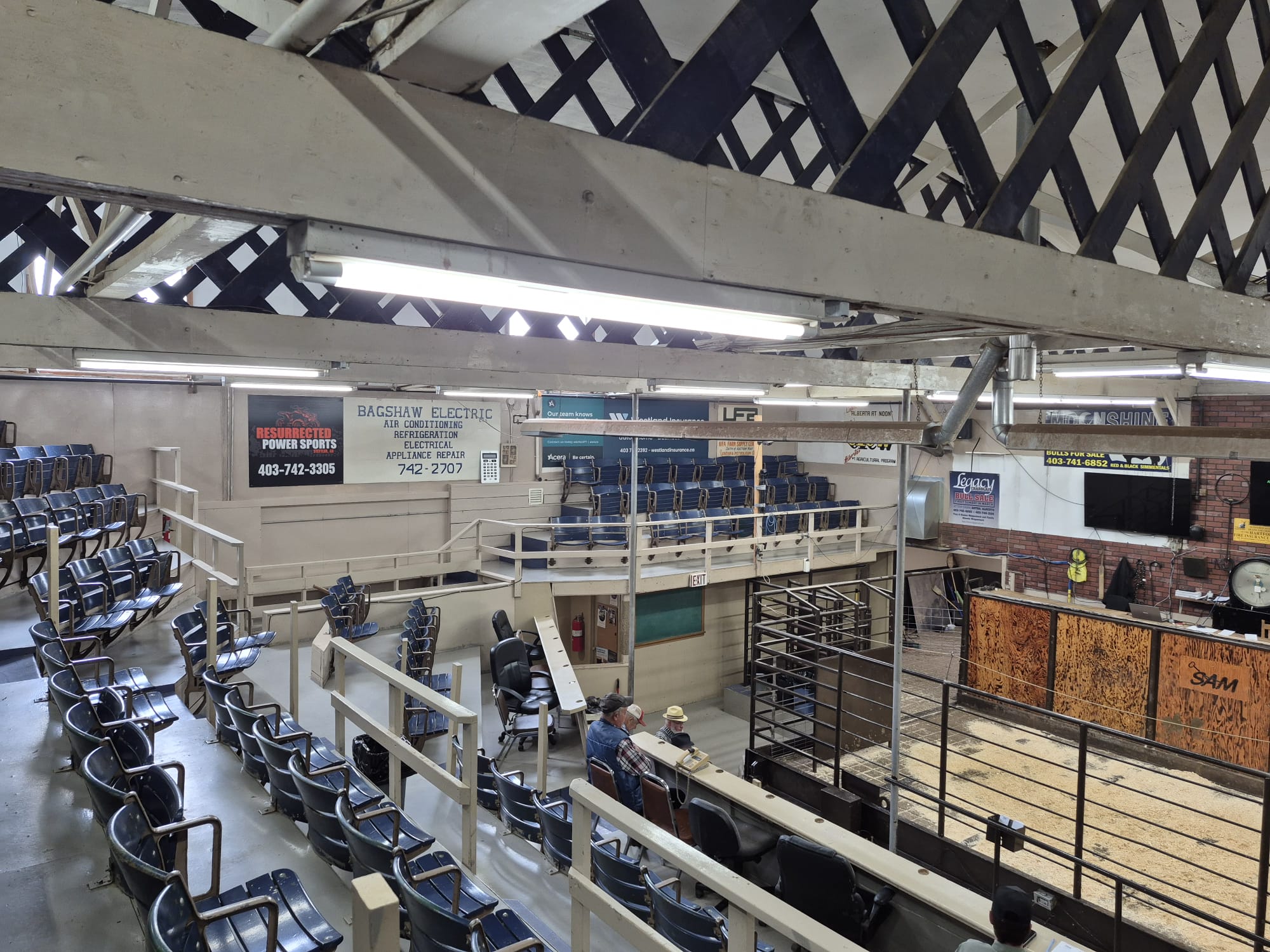 Auction Arena