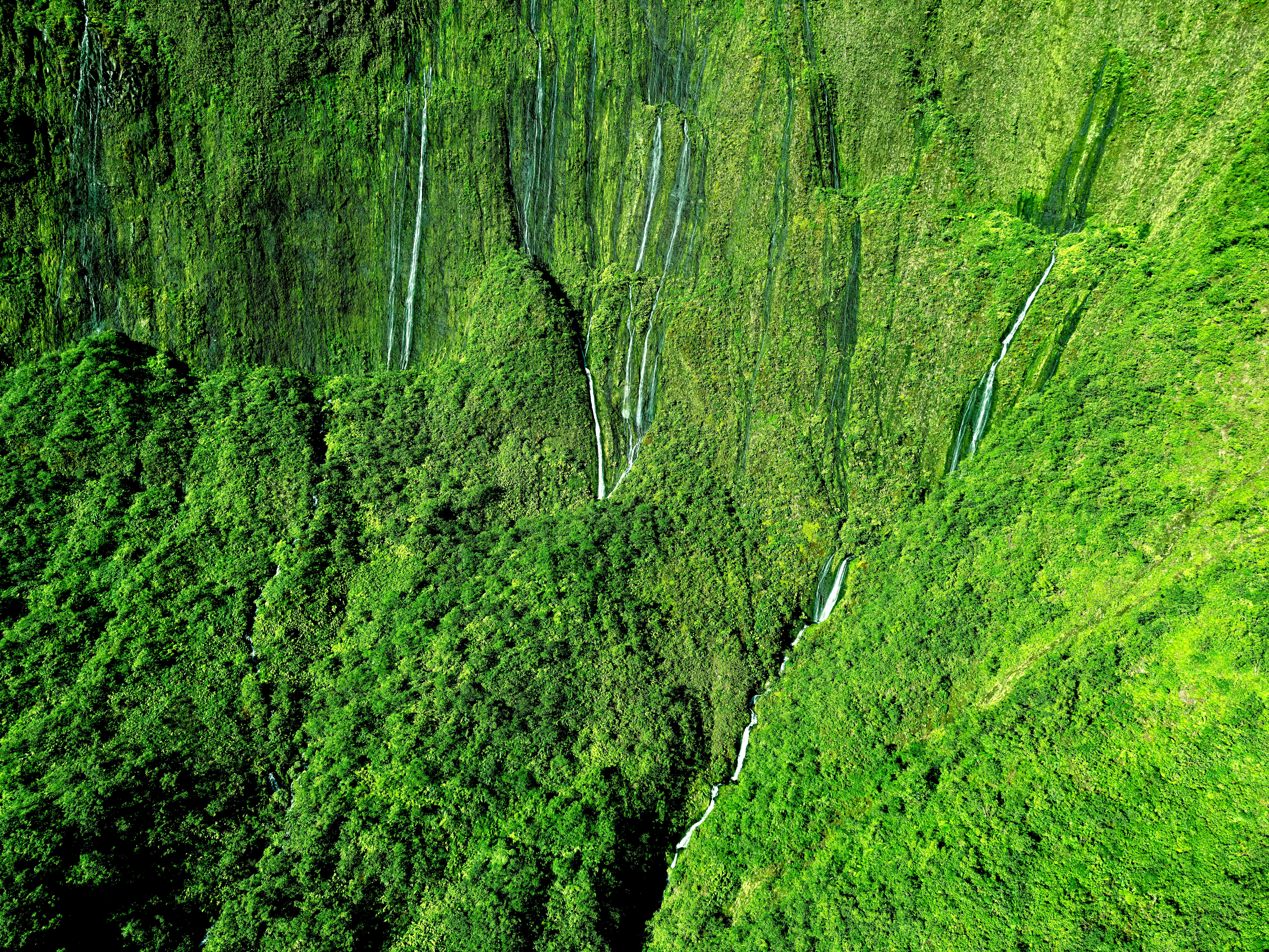 Best Waterfall Adventures in Kauaʻi