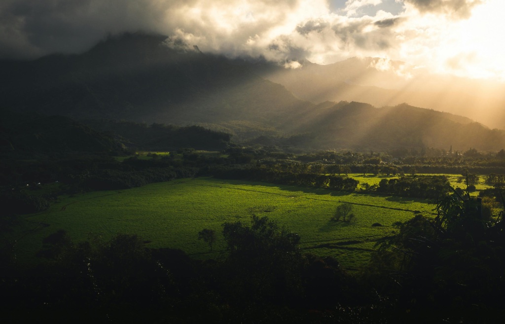 A lush Hawaiian valley bathed in golden hour light