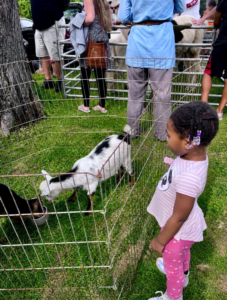 Petting Zoo Animal Encounter Young child at a petting zoo looking at a goat through a fence during a community outing with Insight Kidz Care Baltimore