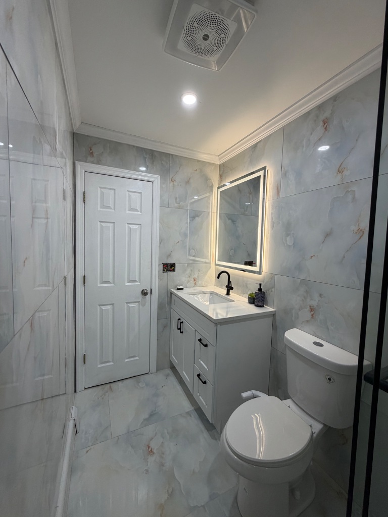 Modern Bathroom Remodel - Photo 2 - TrueCraft Construction