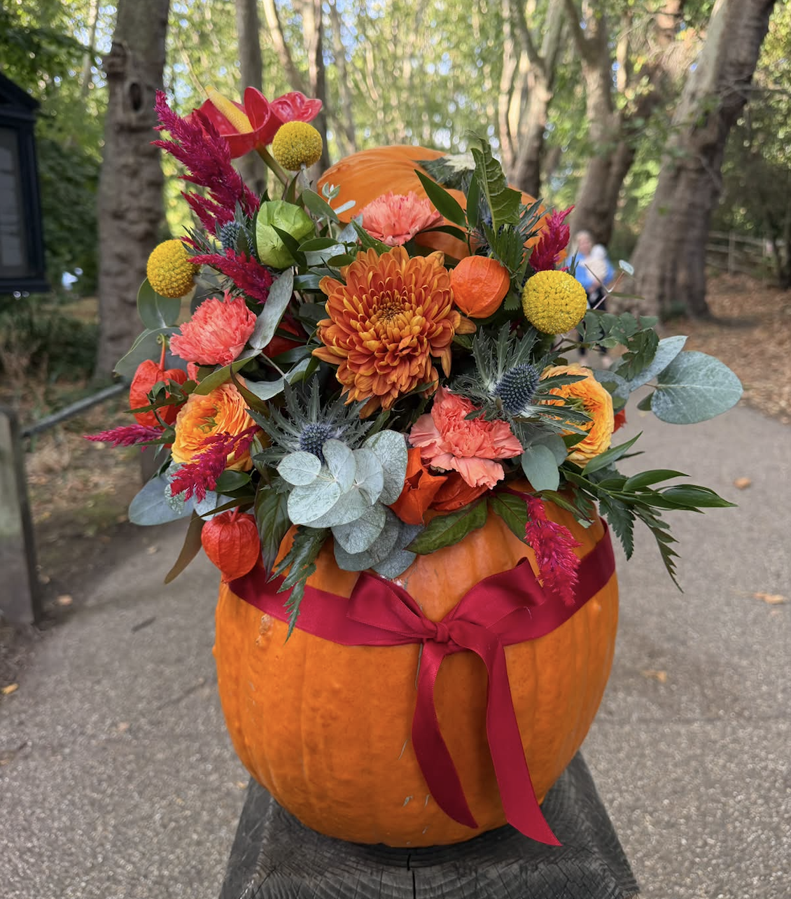 Alan's Pumpkin with Hat 🎃