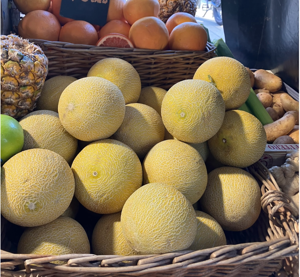 Galia Melon