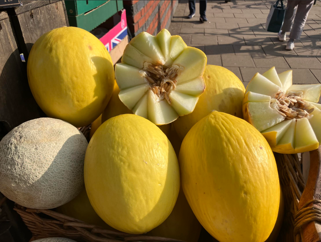Honey Dew Melon